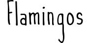 Flamingos