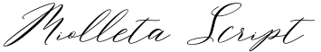 Miolleta Script