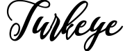 Turkeye