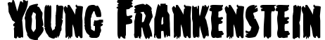 Young Frankenstein