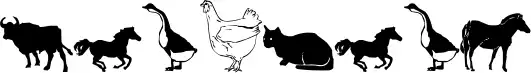 Barnyard