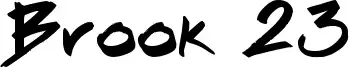Brook 23