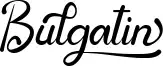 Bulgatin