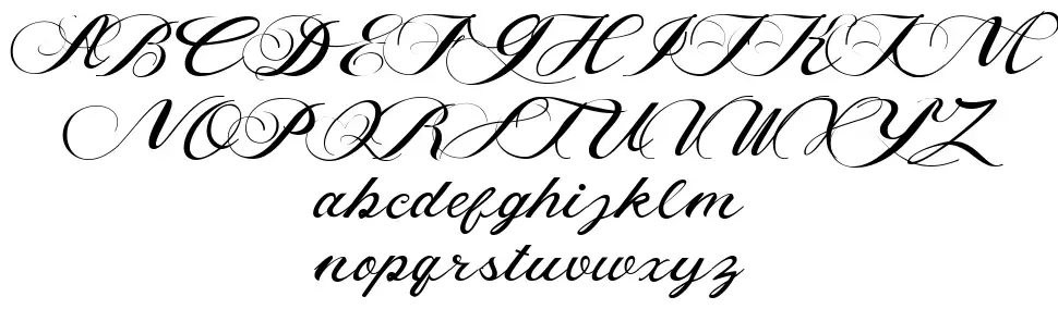 Callidarfont specimens