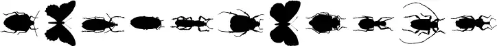 ChileanBugs