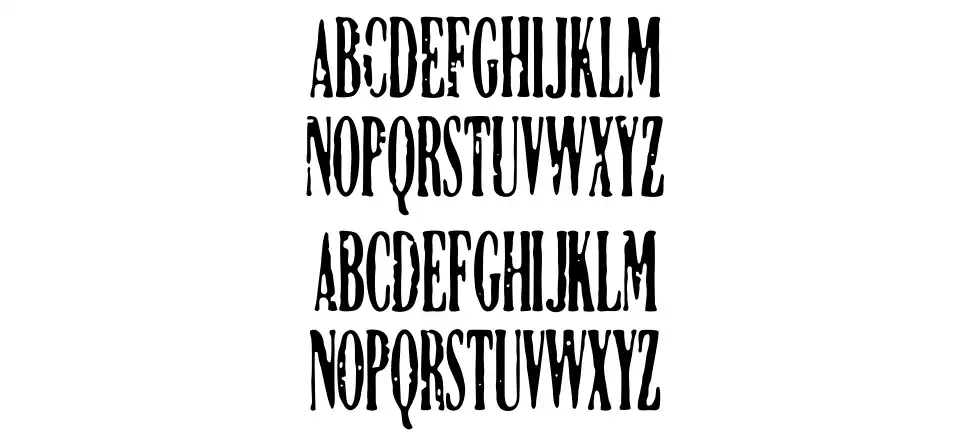 DCC Manifestfont specimens