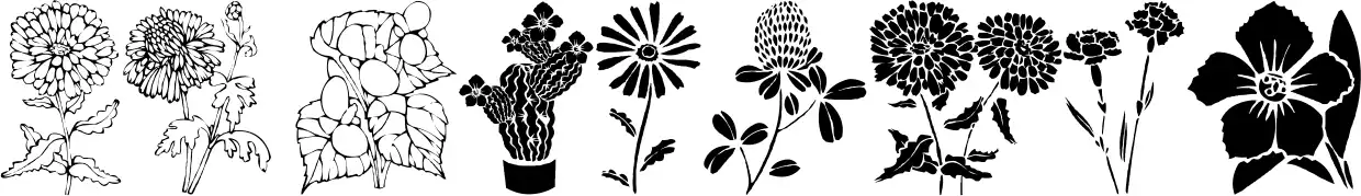 DT Flowers