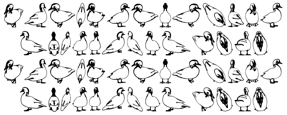Duckfont specimens