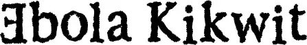 Ebola Kikwit