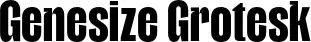Genesize Grotesk