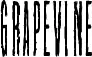 Grapevine