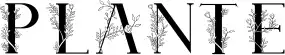 Plante