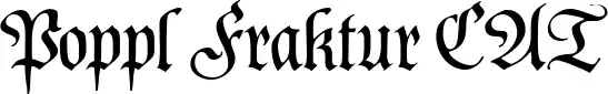 Poppl Fraktur CAT