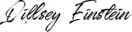 Qillsey Einstein