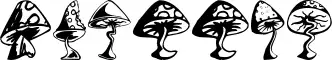 Shrooms