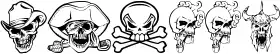 Skullx
