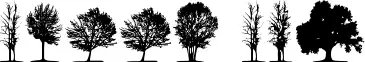 Trees TFB