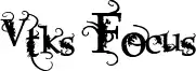Vtks Focus