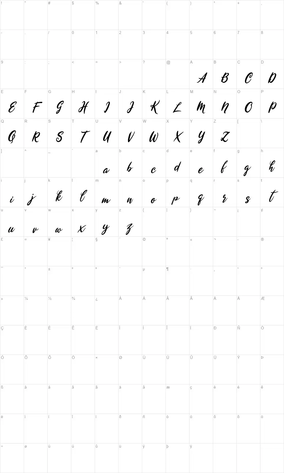Wyntex Brascofont character map