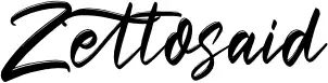 Zettosaid